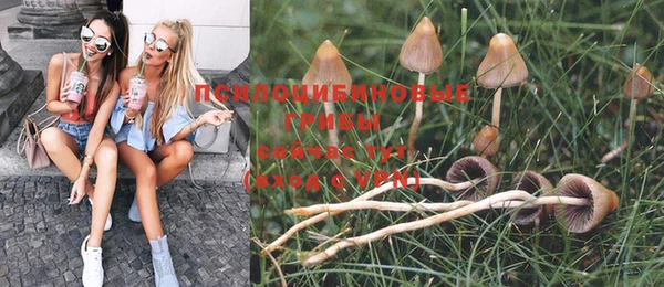 Альфа ПВП Алексеевка
