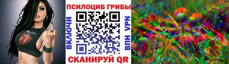 купить наркотики сайты  Циолковский  Псилоцибиновые грибы GOLDEN TEACHER 